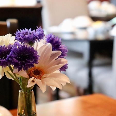 Blue Bell Inn Sorell エクステリア 写真
