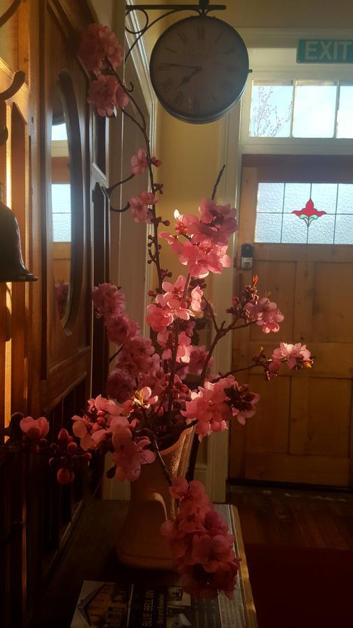 Blue Bell Inn Sorell エクステリア 写真