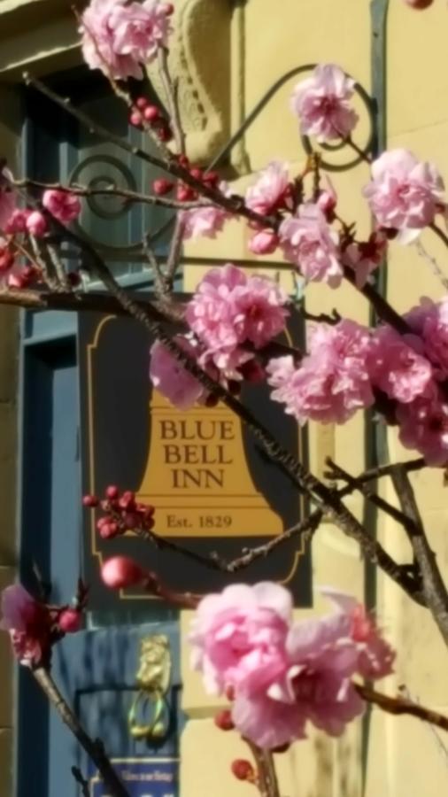 Blue Bell Inn Sorell エクステリア 写真