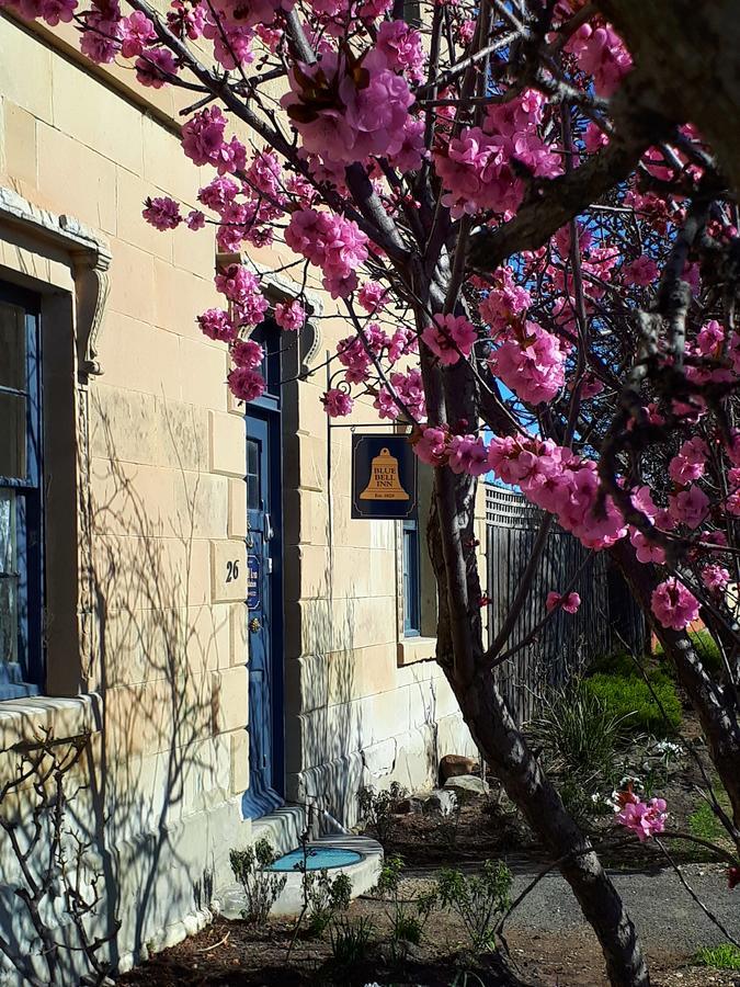 Blue Bell Inn Sorell エクステリア 写真
